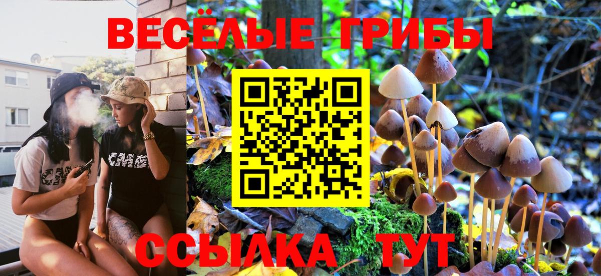 Псилоцибиновые грибы Кимры